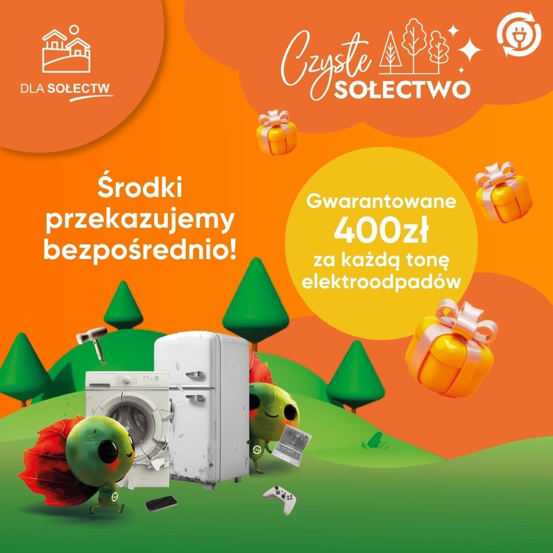 Czyste sołectwo