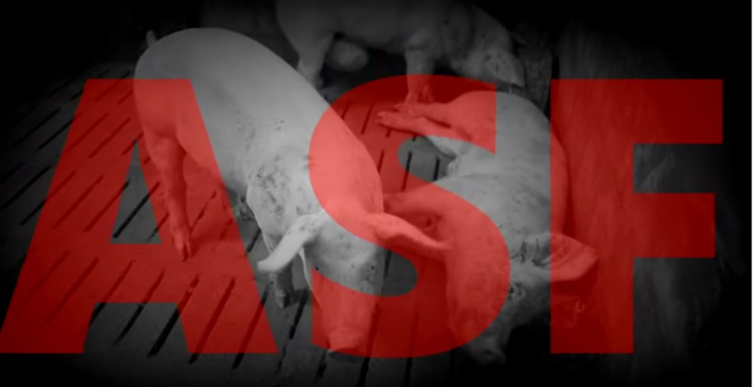 ASF