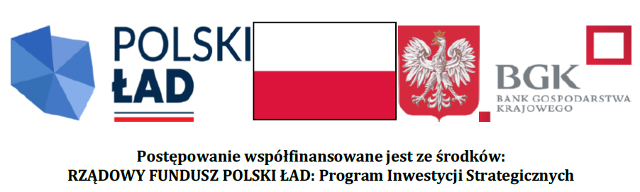 Logotyp Polski Ład