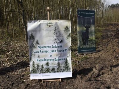 Ogólnopolska akcja „Łączą Nas Drzewa”.