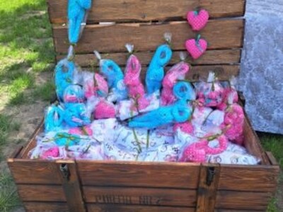 Piknik z okazji Dnia Dziecka