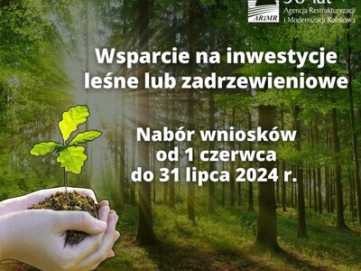 Pieniądze na inwestycje leśne lub zadrzewieniowe