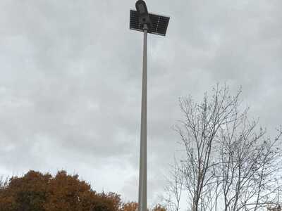 Lampa solarna na tle zachmurzonego nieba w oddali drzewa. Na zewnątrz.