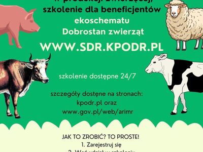Plakat szkolenia