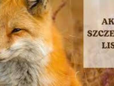 Komunikat Mazowieckiego Wojewódzkiego Lekarza Weterynarii