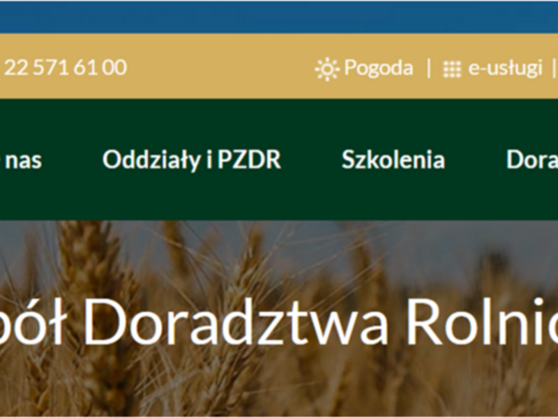 odr mława