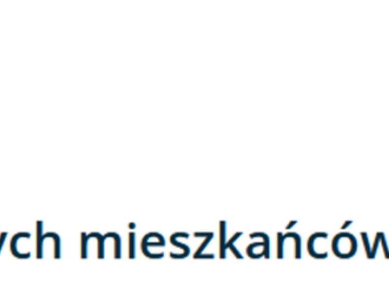 ANKIETA