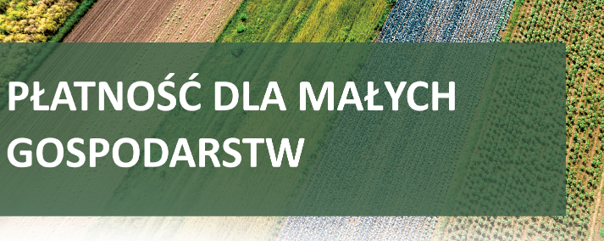 płatność dla małych gospodarstw