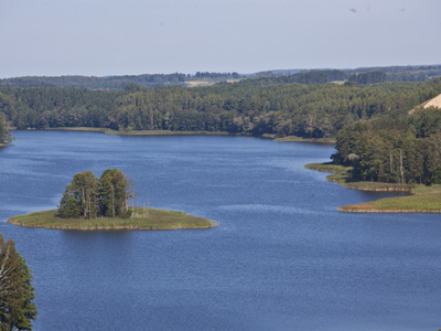 Zdjęcie