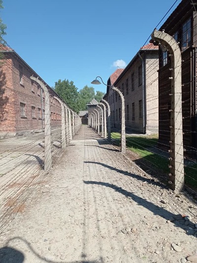 Zdjęcie