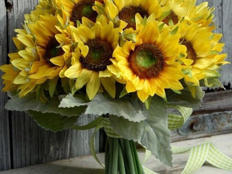 Życzenia z okazji Dnia Edukacji Narodowej