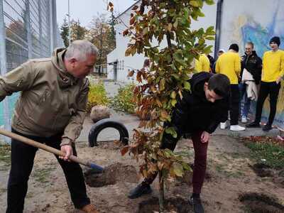 Akcja sadzenia drzew