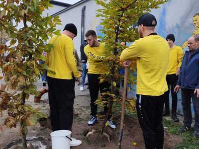 Akcja sadzenia drzew