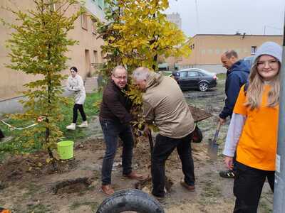 Akcja sadzenia drzew