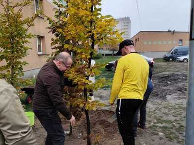 Akcja sadzenia drzew