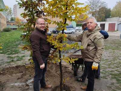 Akcja sadzenia drzew