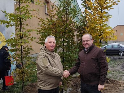 Akcja sadzenia drzew