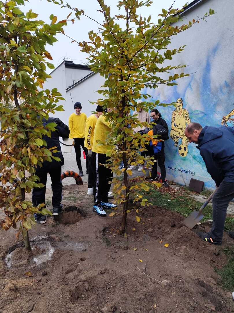 Akcja sadzenia drzew