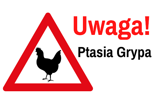 ptasia.png [512x363]