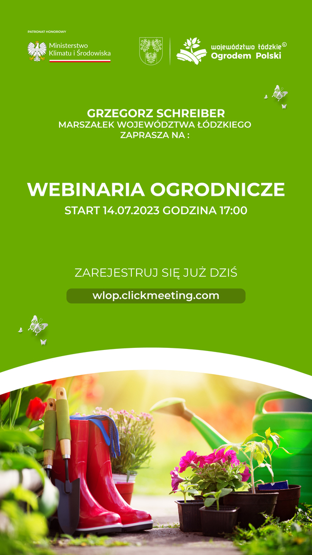 webinaria_1080x1920__instastory.jpg [2250x4000]