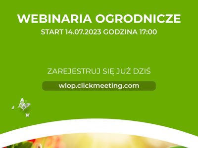 webinar