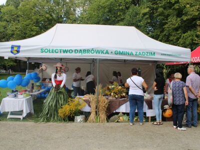 Dożynki