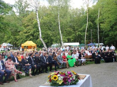 Dożynki