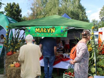 Dożynki