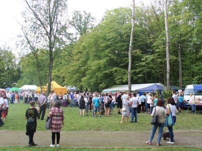 Dożynki