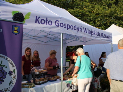 25 koncert "KOLORY POLSKI"
