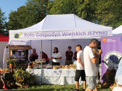 Dożynki 2024