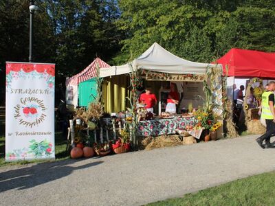 Dożynki 2024