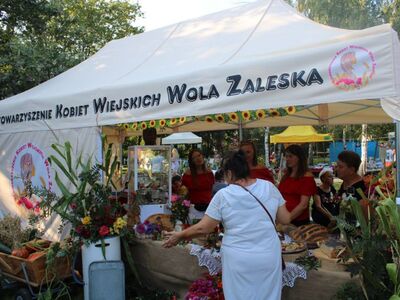 Dożynki 2024