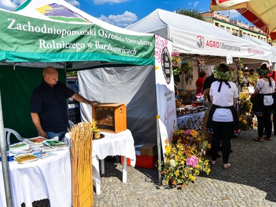 Piknik z produktem Polskim w Sławnie