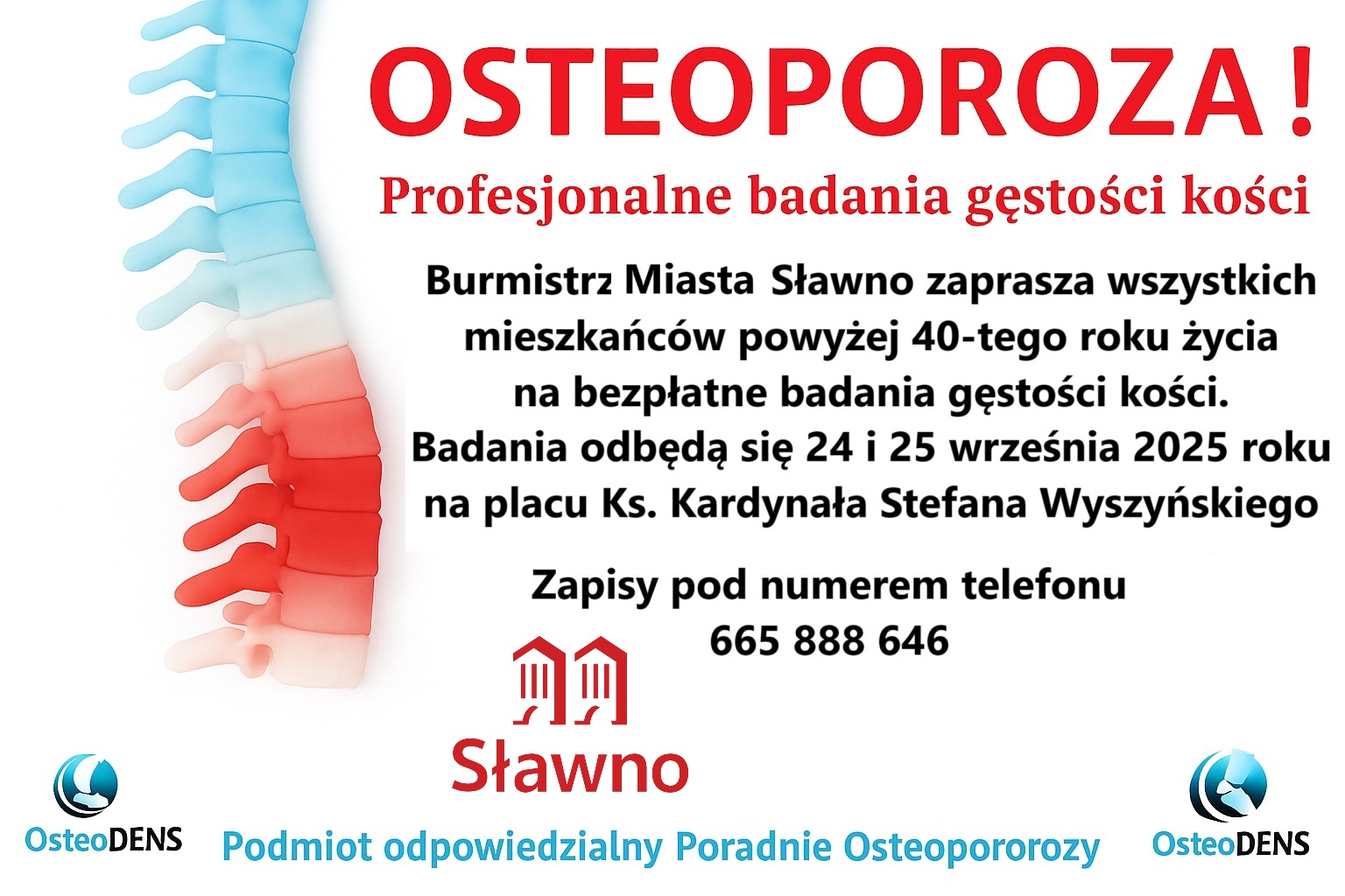 Profesjonalne badanie gęstości kości 