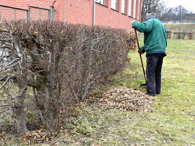 
Wiosenne prace porządkowe
