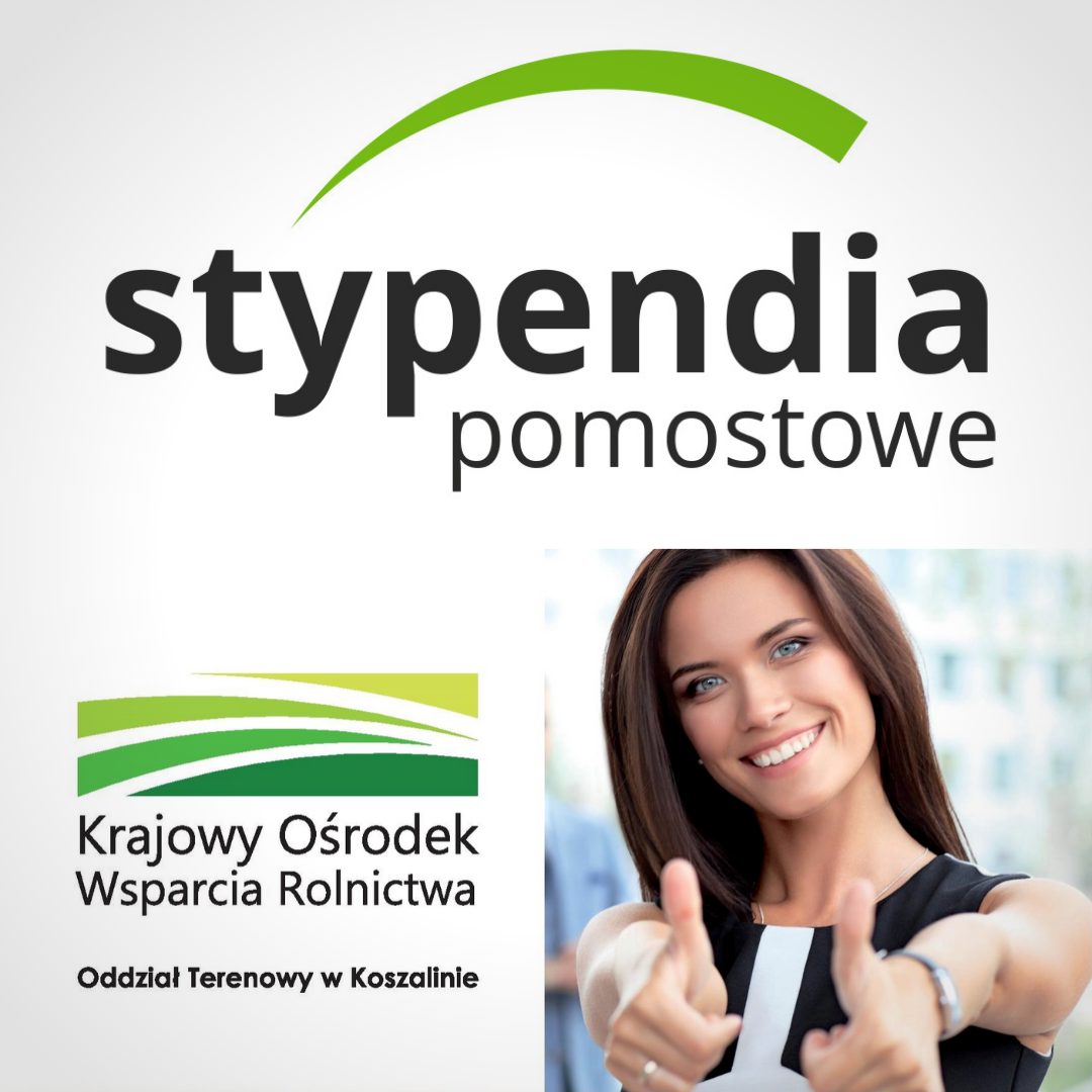 
„Pomost do przyszłości”
