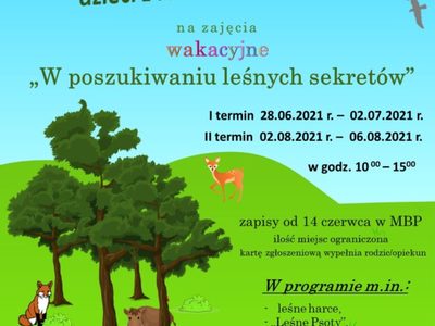 Oferta wakacyjna