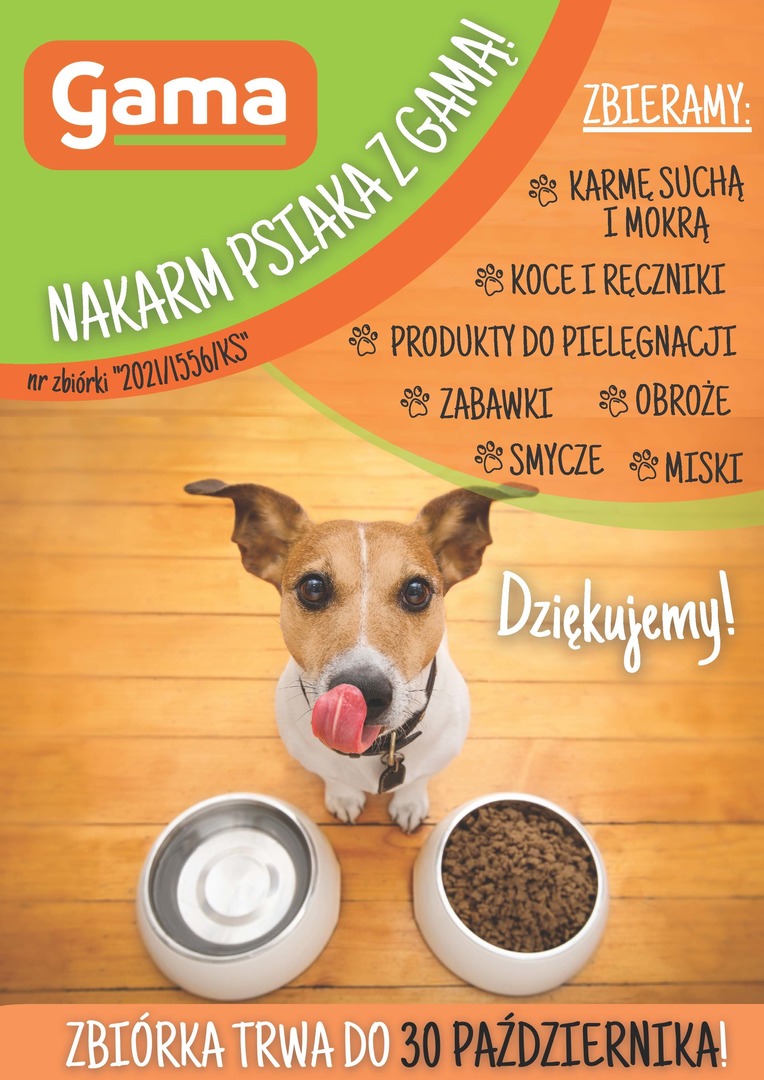 
Zbiórka dla lokalnych schronisk
