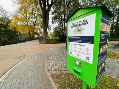 Ptasi Bufet w parku miejskim