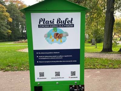 
Ptasi Bufet w parku miejskim
