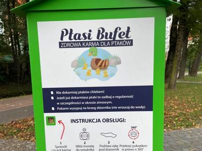 
Ptasi Bufet w parku miejskim
