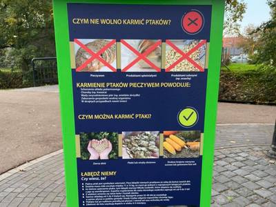 
Ptasi Bufet w parku miejskim
