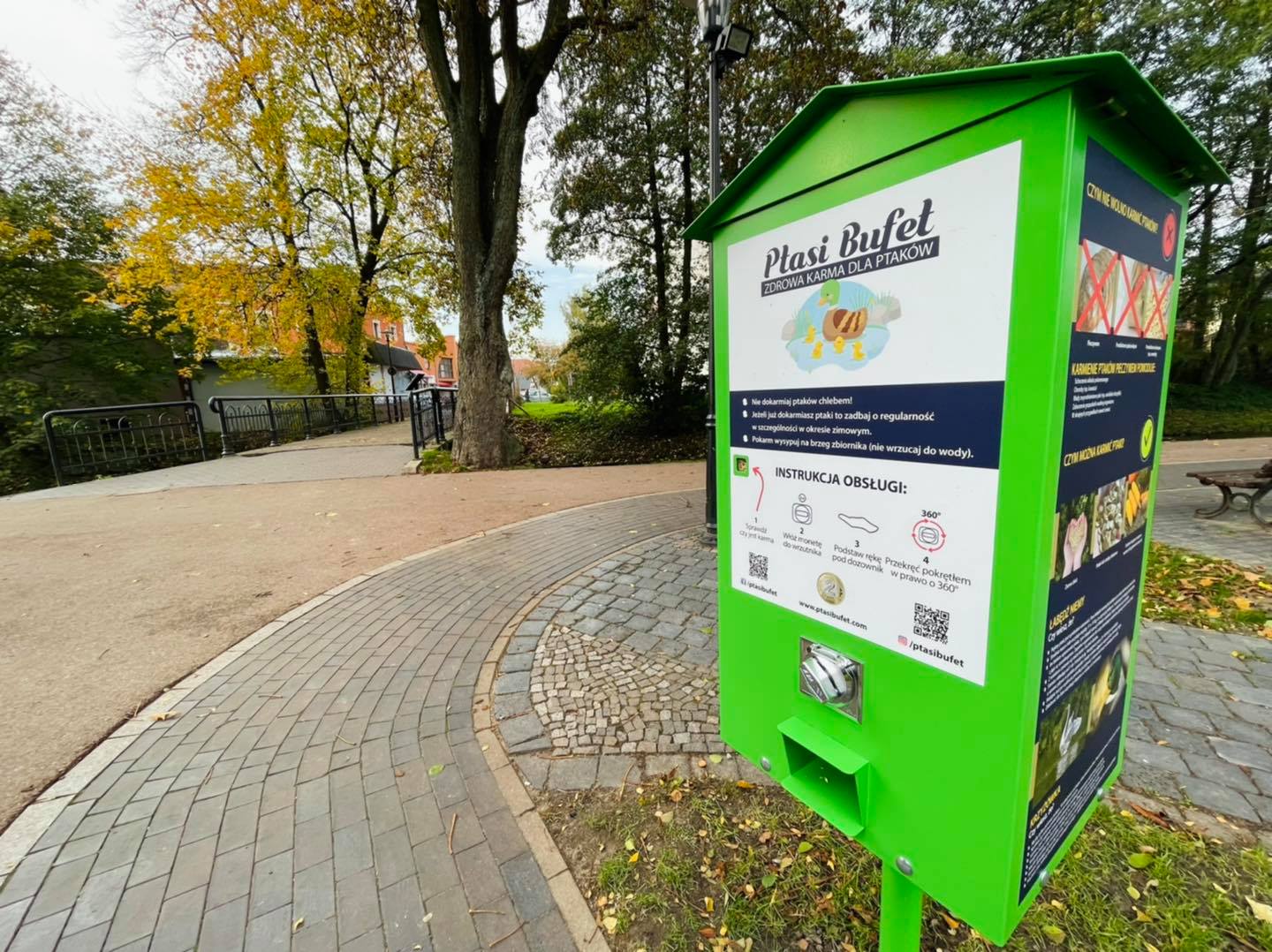 
Ptasi Bufet w parku miejskim
