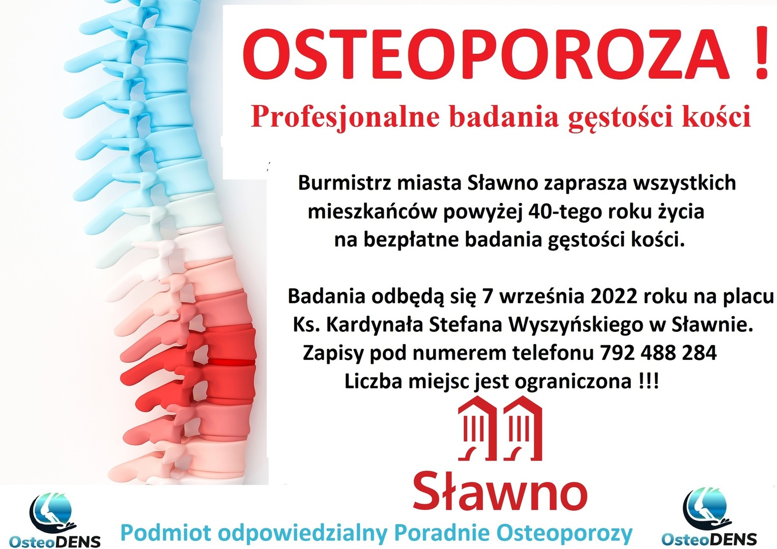 
Badania gęstości kości
