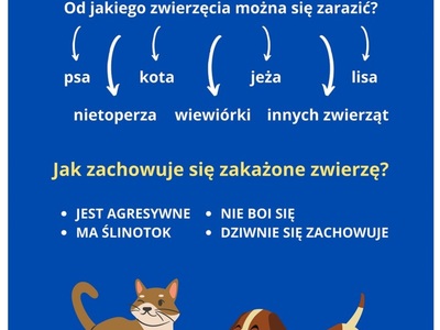 
Wścieklizna - najgroźniejsza wirusowa choroba odzwierzęca
