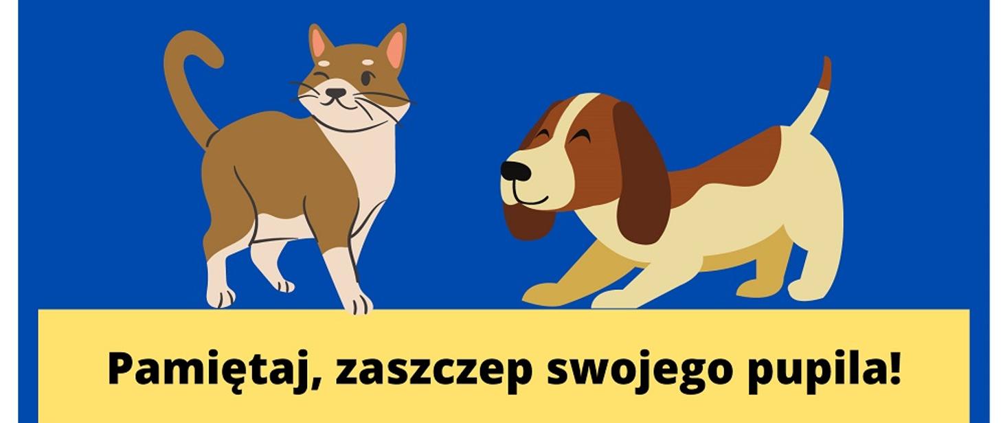 
Wścieklizna - najgroźniejsza wirusowa choroba odzwierzęca
