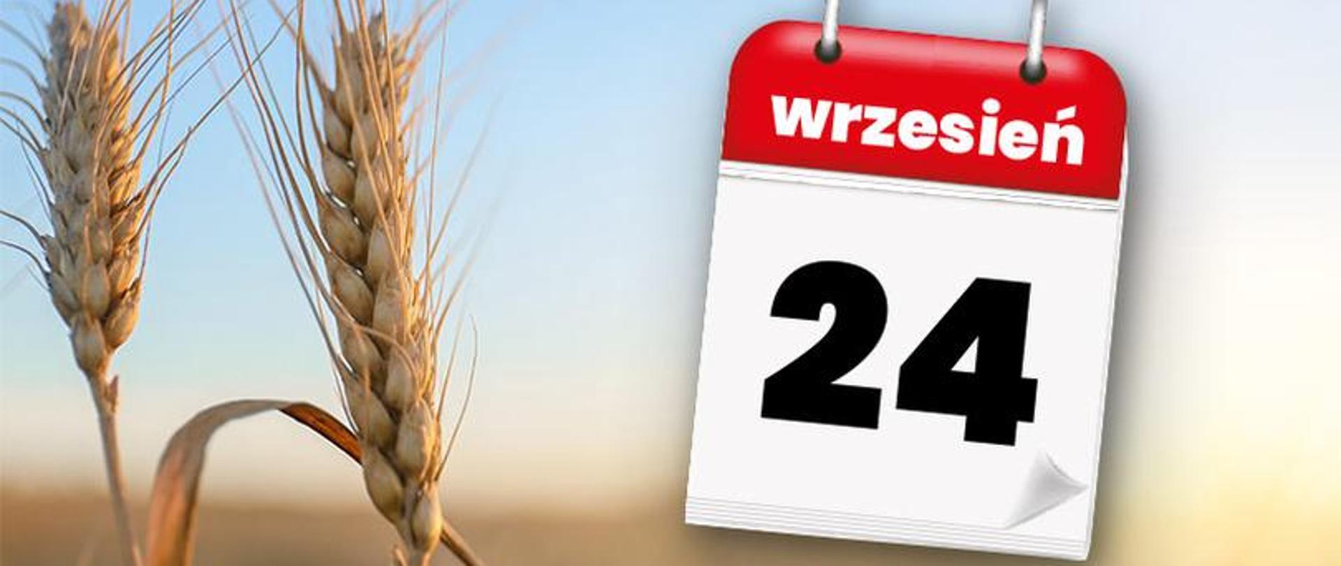 Informacja w sprawie wyłożenia do publicznego wglądu list spisu wyborczych