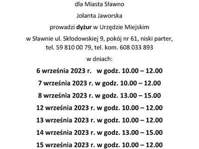 Dyżur urzędnika wyborczego