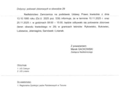 Polowanie zbiorowe - Rykowisko, Bukowiec, Lubiewice, Jeleniagóra, Sarnówek i Lnianek